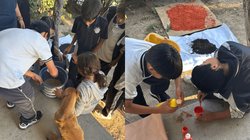 EH_DOS_FOTOS_2025_10_27_T155905_369_e48afd8ee3