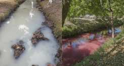 EH_DOS_FOTOS_2025_11_10_T092509_110_33f30cabf4