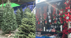 EH_DOS_FOTOS_2025_11_16_T154551_551_5228d59f94