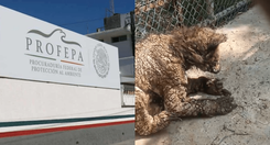 EH_DOS_FOTOS_47_fe59ecb8da