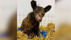 EH_FOTO_VERTICAL_2025_10_26_T142619_618_49c65ceaa3