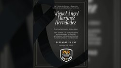 EH_FOTO_VERTICAL_93_555459248d