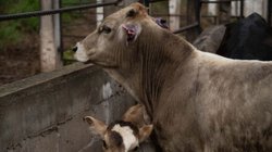 EH_UNA_FOTO_2025_09_21_T093312_639_bbf5a01060