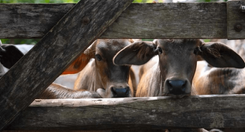 EH_UNA_FOTO_2025_10_06_T142117_186_a883ad144f