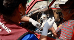 EH_UNA_FOTO_2025_10_17_T104223_421_2dffcb4a6d