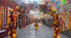 EH_UNA_FOTO_2025_10_24_T092015_027_d5b57e437d