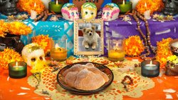 EH_UNA_FOTO_2025_10_27_T142309_502_146492efc2