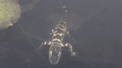 EH_UNA_FOTO_2025_11_13_T151129_628_2535019c30