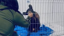 EH_UNA_FOTO_2025_11_20_T150234_221_7eb733efdb