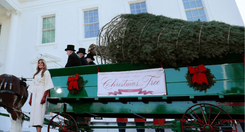 EH_UNA_FOTO_2025_11_24_T143227_621_19d7b81adb