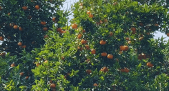 EH_UNA_FOTO_2025_11_27_T115334_264_bc82a7f385