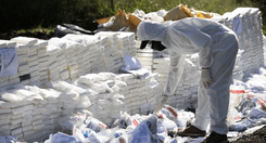 EH_UNA_FOTO_2025_11_27_T152830_384_ca593c9812