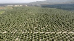 EH_UNA_FOTO_2025_11_29_T065205_282_12d74579e2