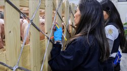 EH_UNA_FOTO_2025_11_29_T075356_313_683707ccde