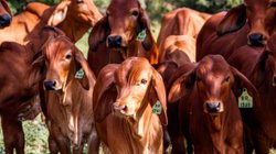 EH_UNA_FOTO_2026_01_17_T095939_924_184b36b505