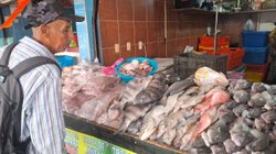 EH_UNA_FOTO_2026_03_02_T165559_551_bf3b519bc4