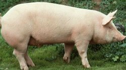 EH_UNA_FOTO_36_07990b4633