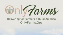 EH_UNA_FOTO_53_52245758c2