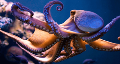 EH_UNA_FOTO_63_6f2af91de8