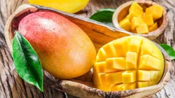 EH_UNA_FOTO_95e4ff4ff1