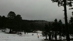 Exhortan_resguardarse_Tamaulipas_frente_frio_d4dc5afc22