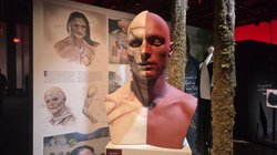 G_BASR_Cbo_A_Aw_CDL_ebb32761b6