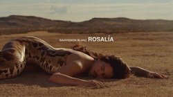 H_Avk_NK_Ya_AA_Ecm_Pp_107886841b