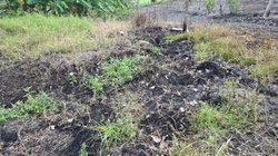 IMG_20260209_WA_0434_ede7e69109