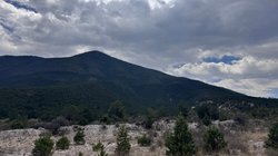 IMG_3301_20250468c1