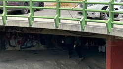 IMG_3462_7c1cdadd1d