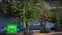 IMG_3498_2_c130a57274