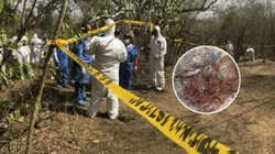 INFO_7_CONTEXTO_1_f0b3f2a09b