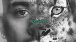 INFO_7_UNA_FOTO_2026_02_04_T130258_955_0c1b7a3567