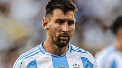 INFO_7_UNA_FOTO_2026_03_18_T122512_420_e6e981fa6d