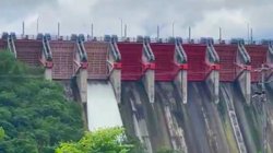 INFO_7_UNA_FOTO_4_2c8b326cfe