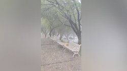 INFO_7_VERTICAL_50_18fb9dc1bc