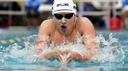 Image_Transformer_664db4ec27