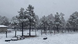 Nieve_frio_Chihuahua_5bfb89bb3b