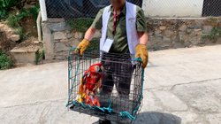 Operativo_Profepa_Conanp_OAX_001_6b7fce2f45