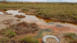 PLANTILLAS_WEB_EH_INFO_7_20_7303cee5dd