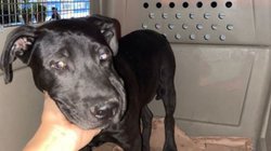 PLANTILLAS_WEB_EH_INFO_7_6973ff73e2