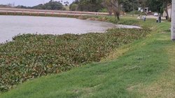 Screenshot_20260311_174522_Gallery_23178d52ca