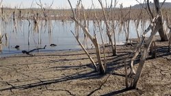 Sufren_sequia_moderada_al_norte_de_Tamaulipas_918d03f884