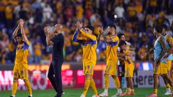 Tigres_3e6b439499