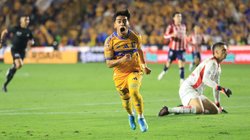 Tigres_Chicha_Sanchez_f6fa507be3