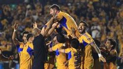 Tigres_Gignac_3fdf5a201b