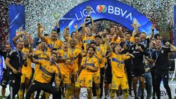 Tigres_campeon_d0bdb82511