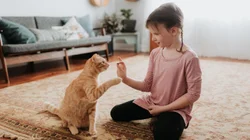 Whats_App_Image_2025_07_01_at_3_00_28_PM_473f6956bc