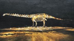 Whats_App_Image_2025_08_26_at_7_12_59_PM_15c01c7c21