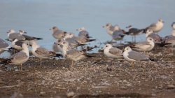 Whats_App_Image_2025_10_05_at_5_07_24_PM_3_12cadfadae